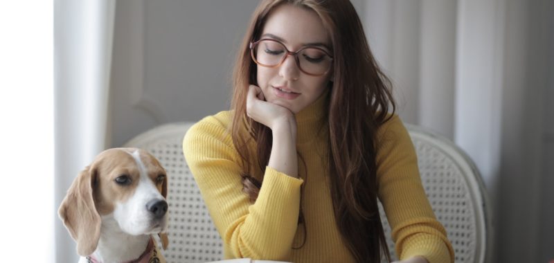 Perro leyendo