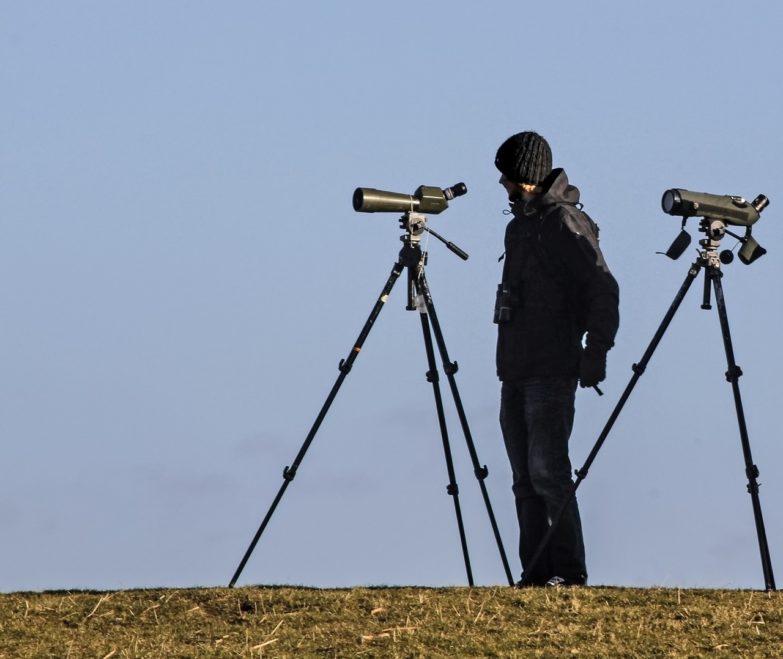 Telescopio terrestre