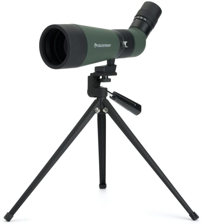 Telescopio terrestre Celestron LandScout