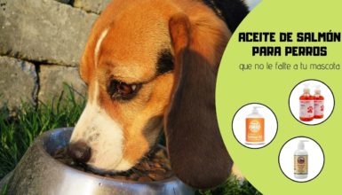 aceite de salmón para perros elmejor10