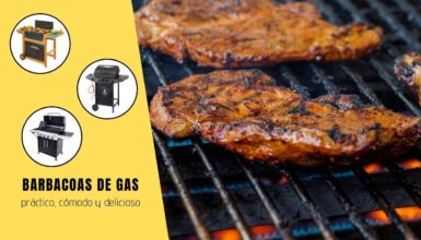 mejores barbacoas de gas elmejor10