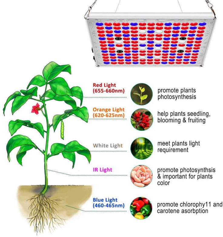 Espectro de color luces led para cultivo