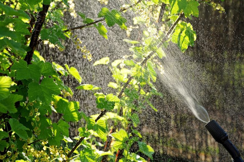 Fumigación en huerta